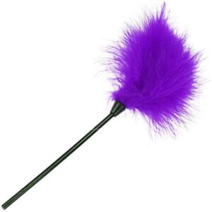 Plumas Traviesas Moradas